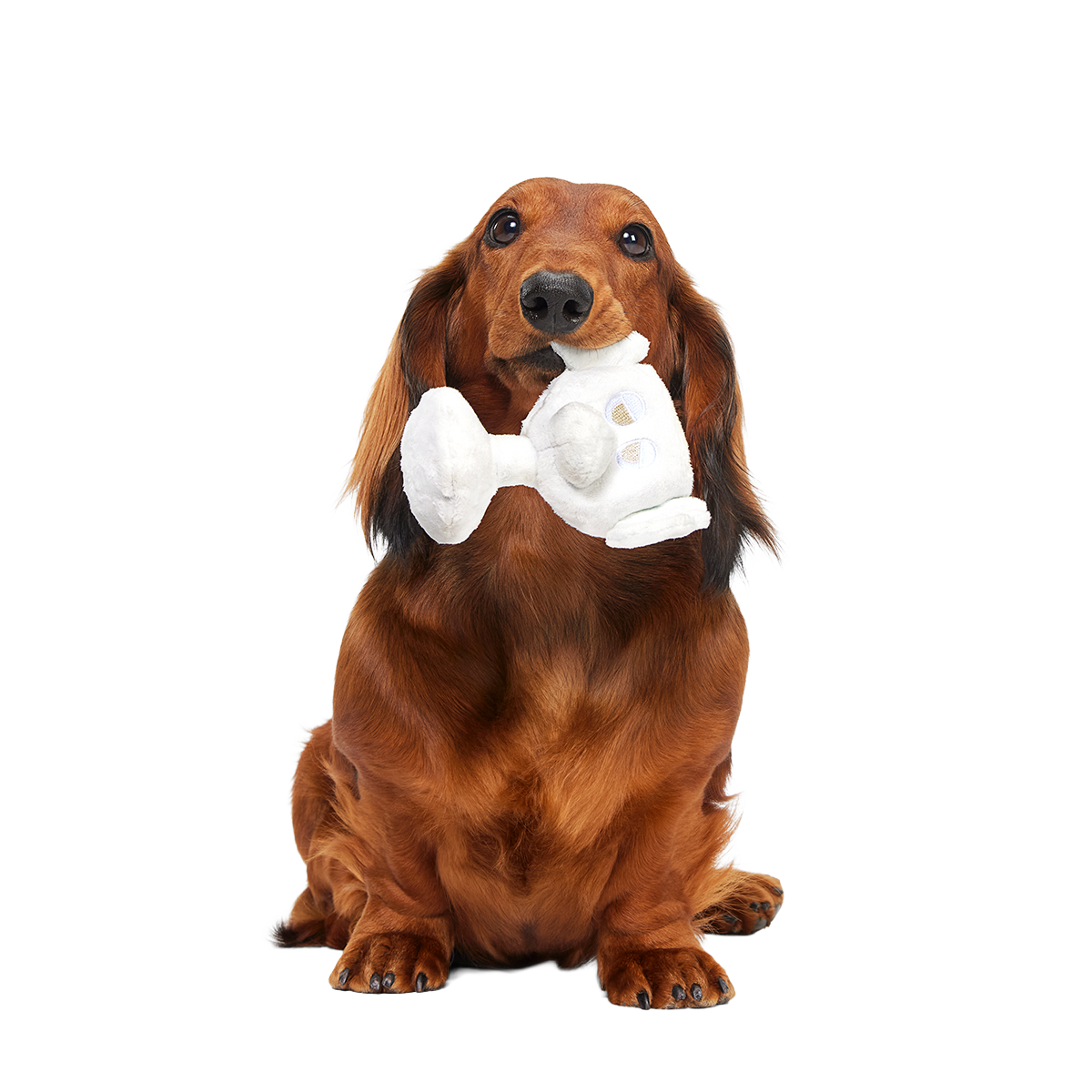 Christmas Vacation Plush Dog Toy Bundle