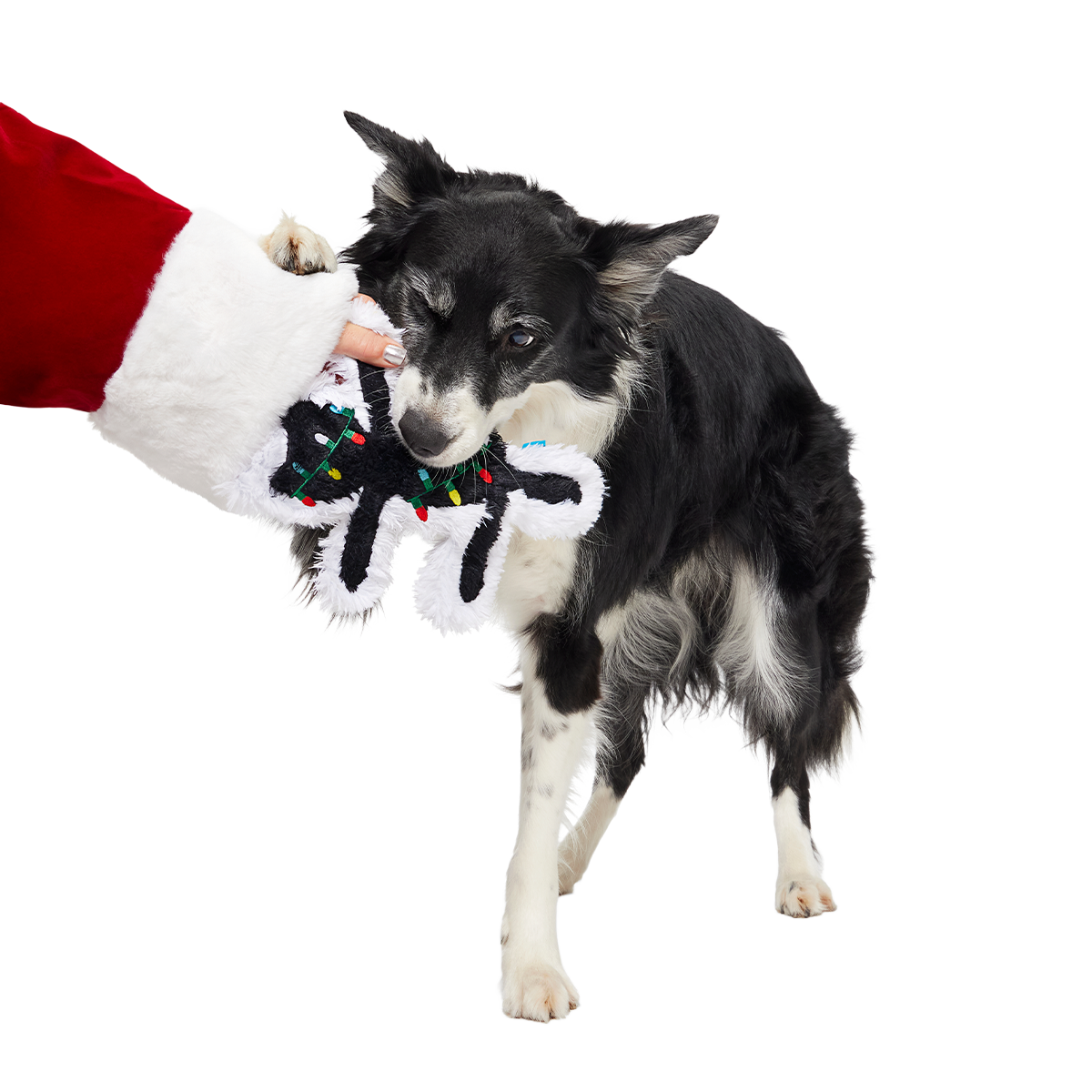 Christmas Vacation Plush Dog Toy Bundle
