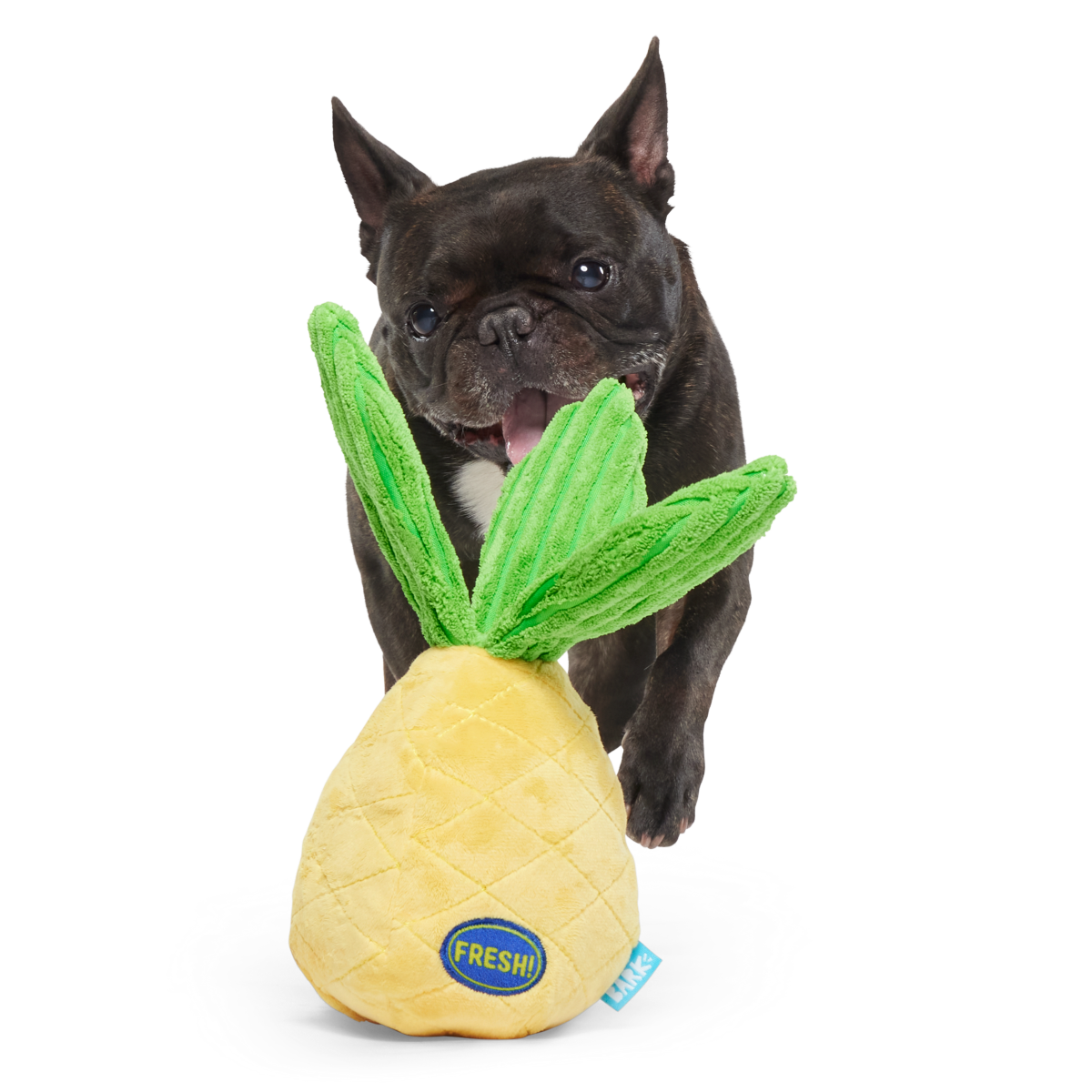 Spiky Pineyapple Plush Tug Dog Toy