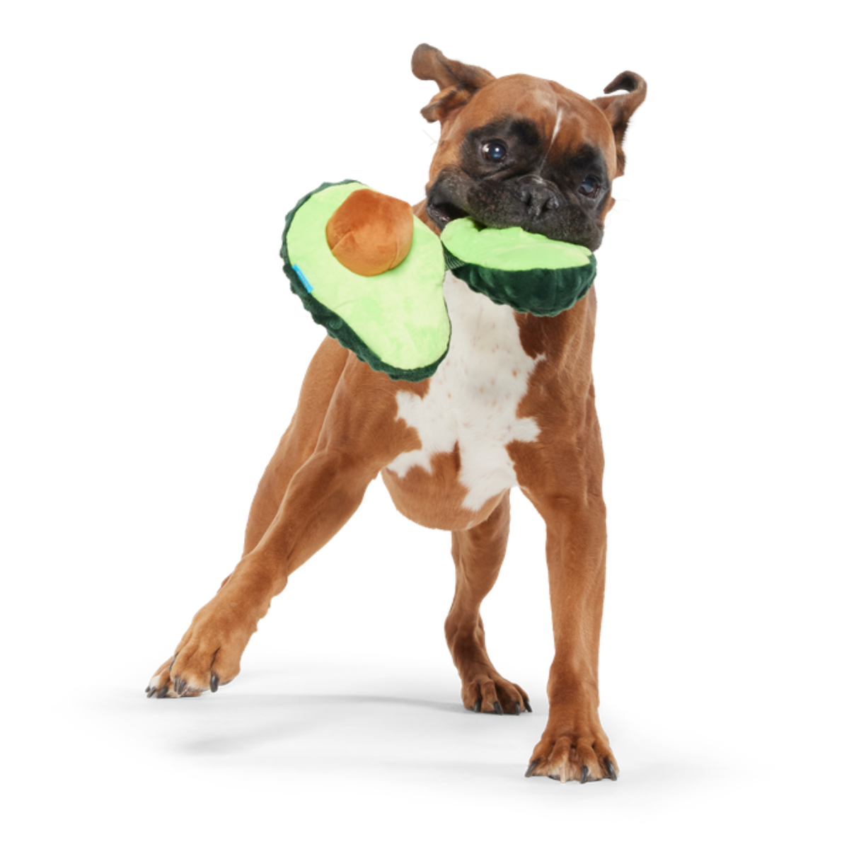 Arfocado Plush Enrichment + Tug Dog Toy