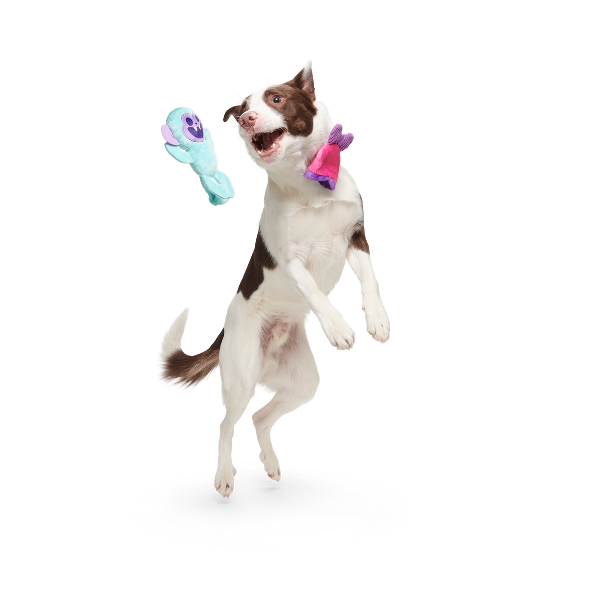 Gigi the Fiji Mermaid Multi-Part + Enrichment Dog Toy