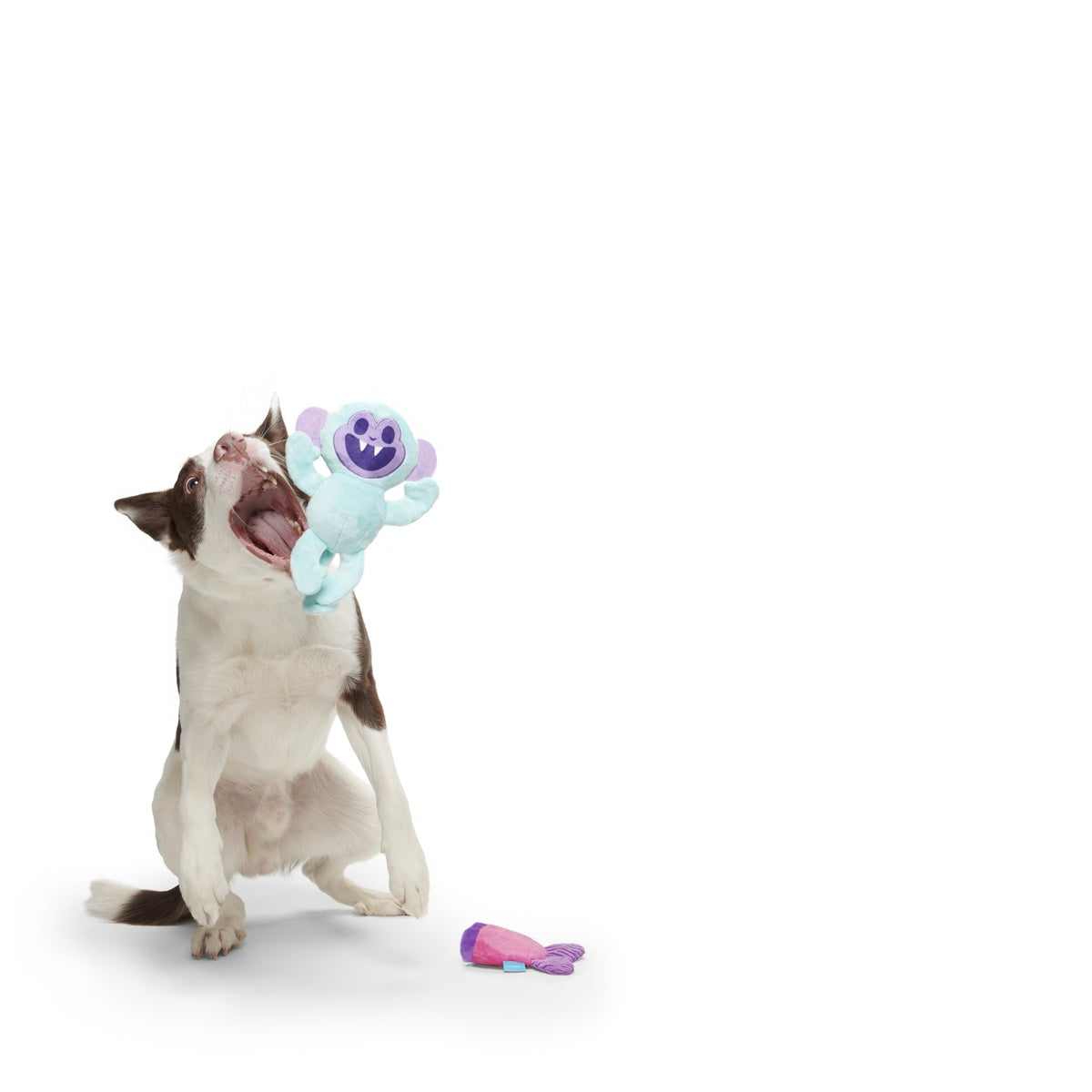 Gigi the Fiji Mermaid Multi-Part + Enrichment Dog Toy