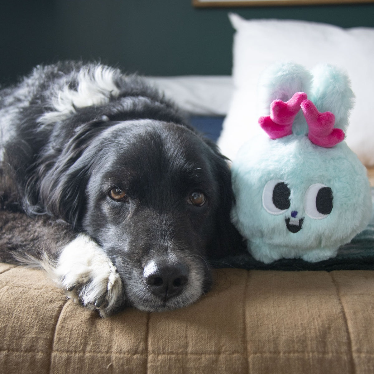 Jack Jackalope Plush Dog Toy