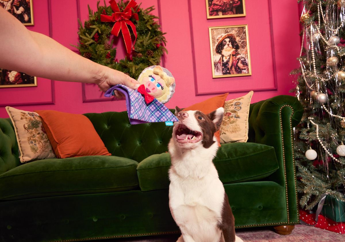 Miss Piggy as “Emily Catch-it” Plush Tug Dog Toy