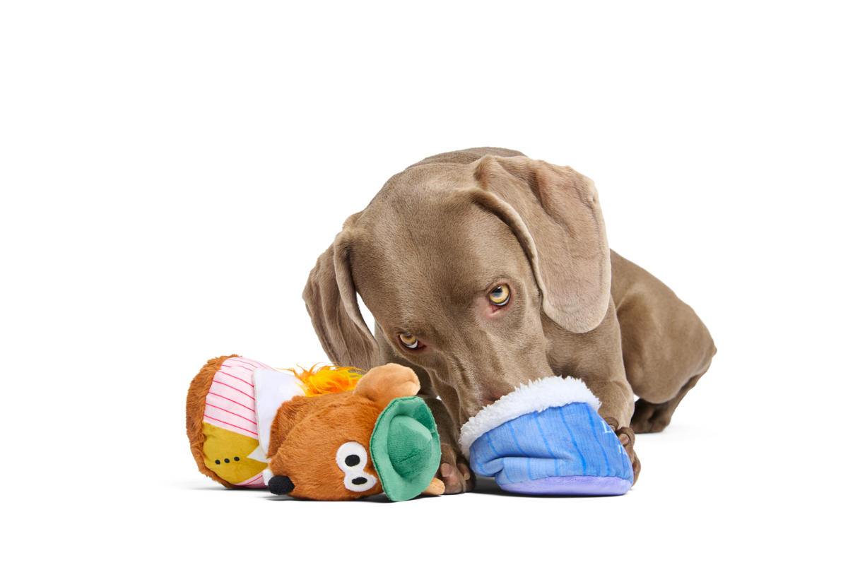 Lamplighter Rizzo the Rat