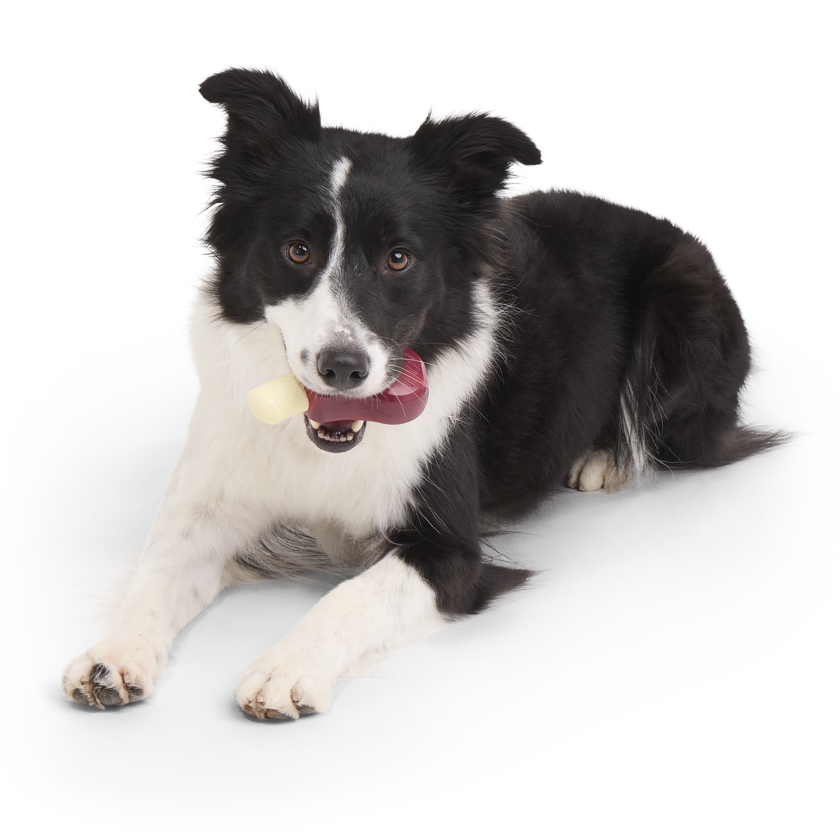 Porkchomp Super Chewer Durable Gnaw Dog Toy