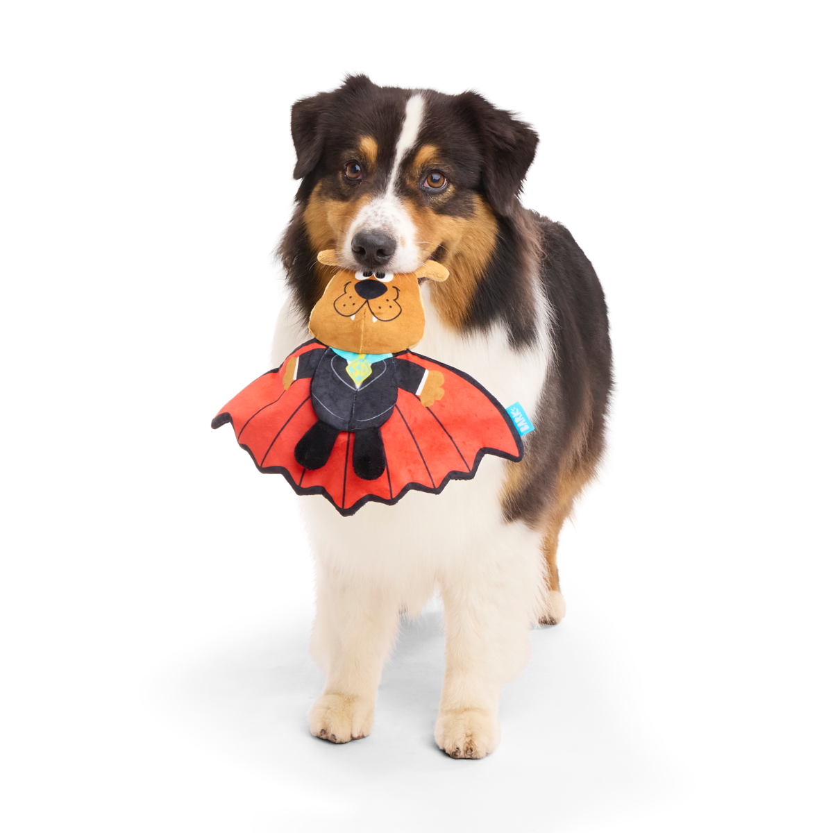 Count Scooby-Dooby-Doo™ Plush Tug Dog Toy