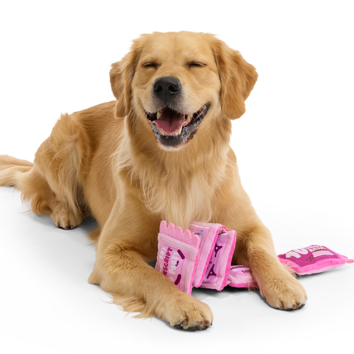 Puppy Love Coupons Plush Tug Dog Toy