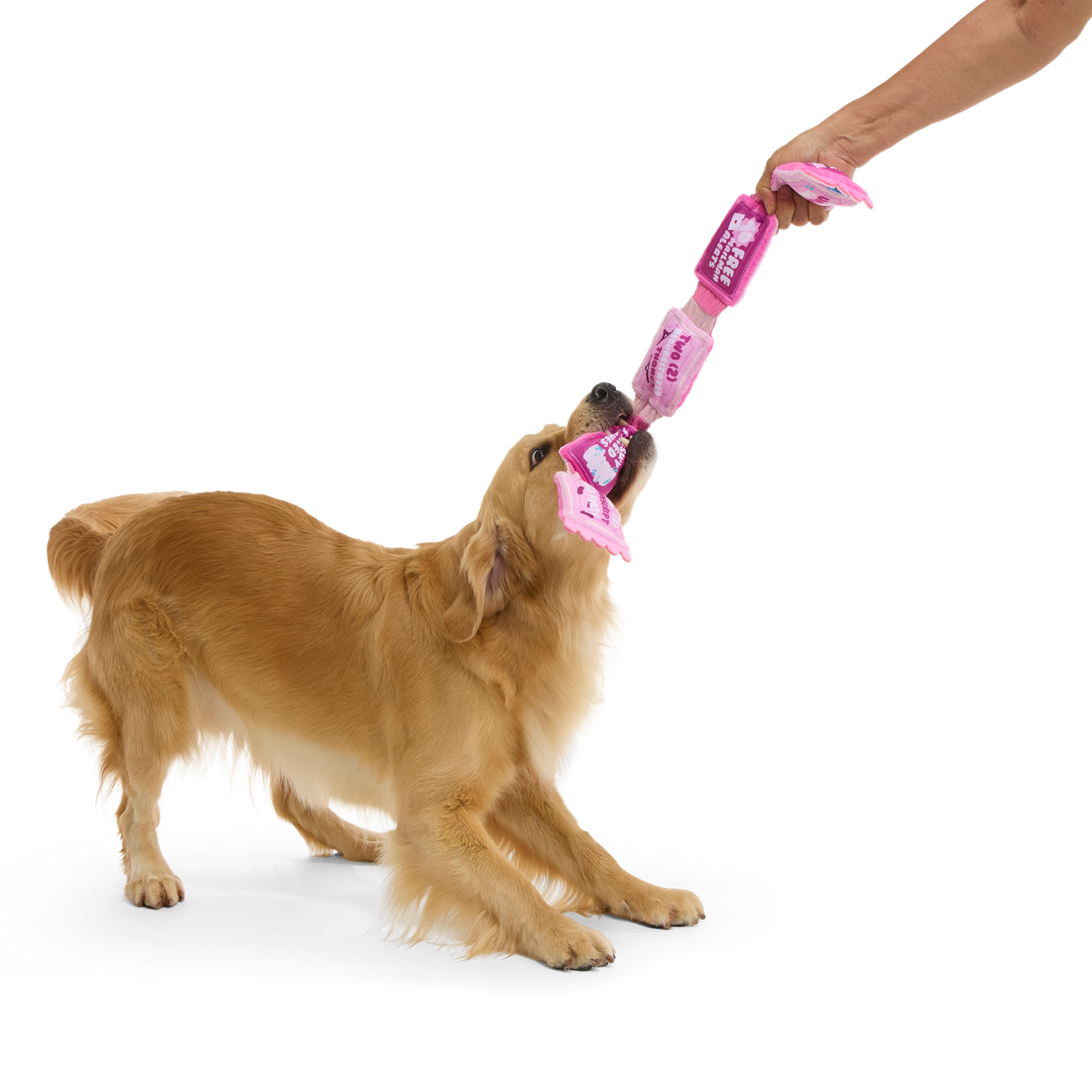 Puppy Love Coupons Plush Tug Dog Toy