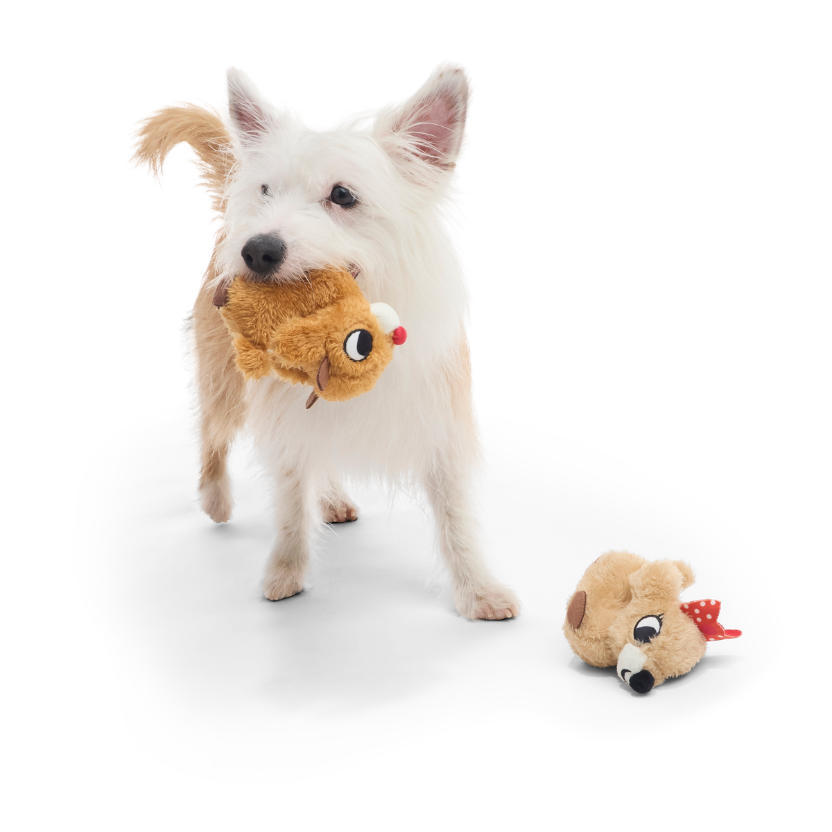 Rudolph® Holiday Gift BarkBox