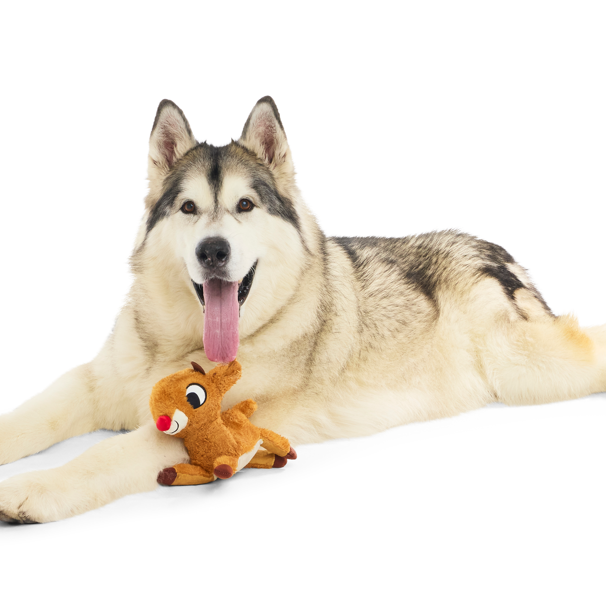 Rudolph® Holiday Gift BarkBox