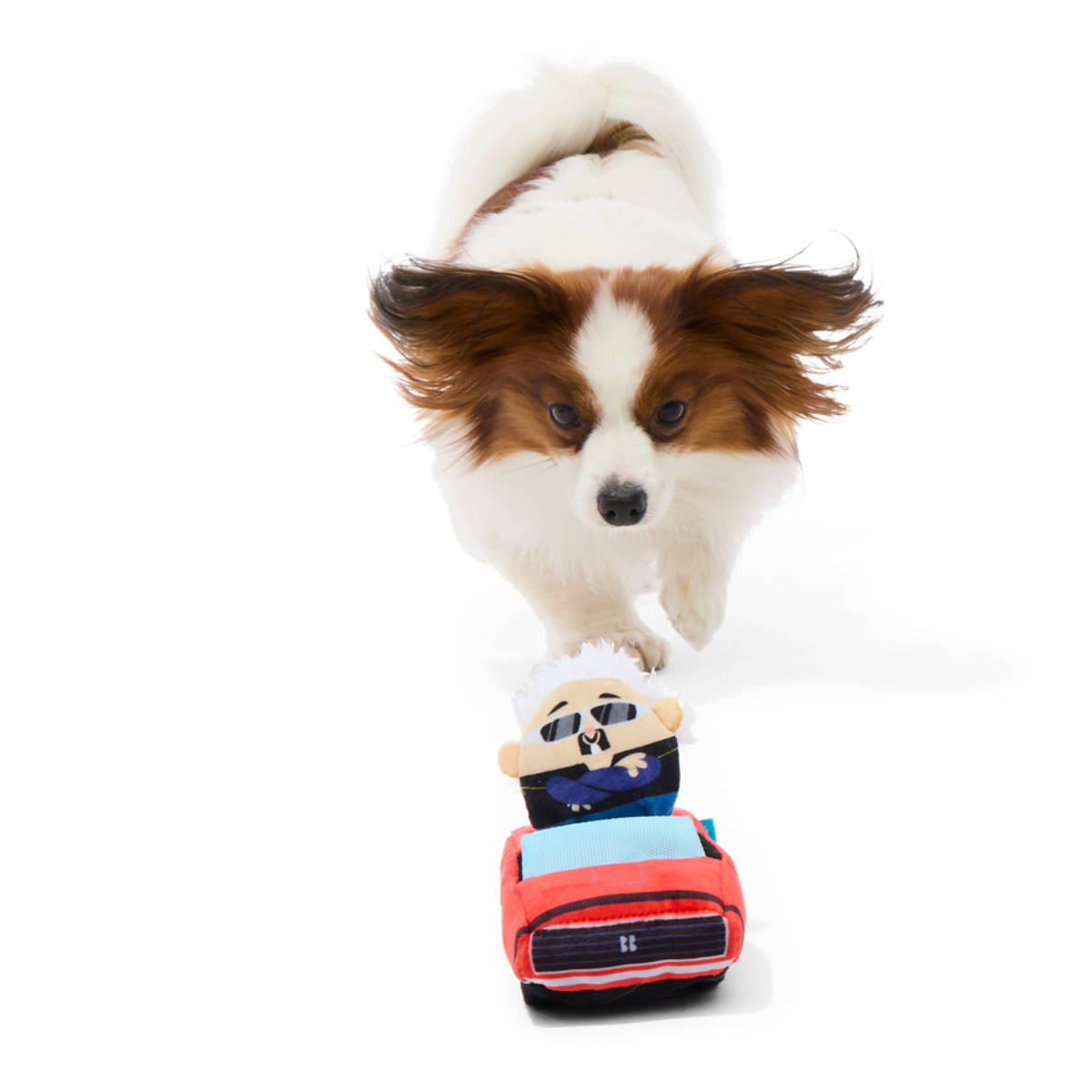 Guy's K9 Camaro Plush Multi-Part + Enrichment Dog Toy