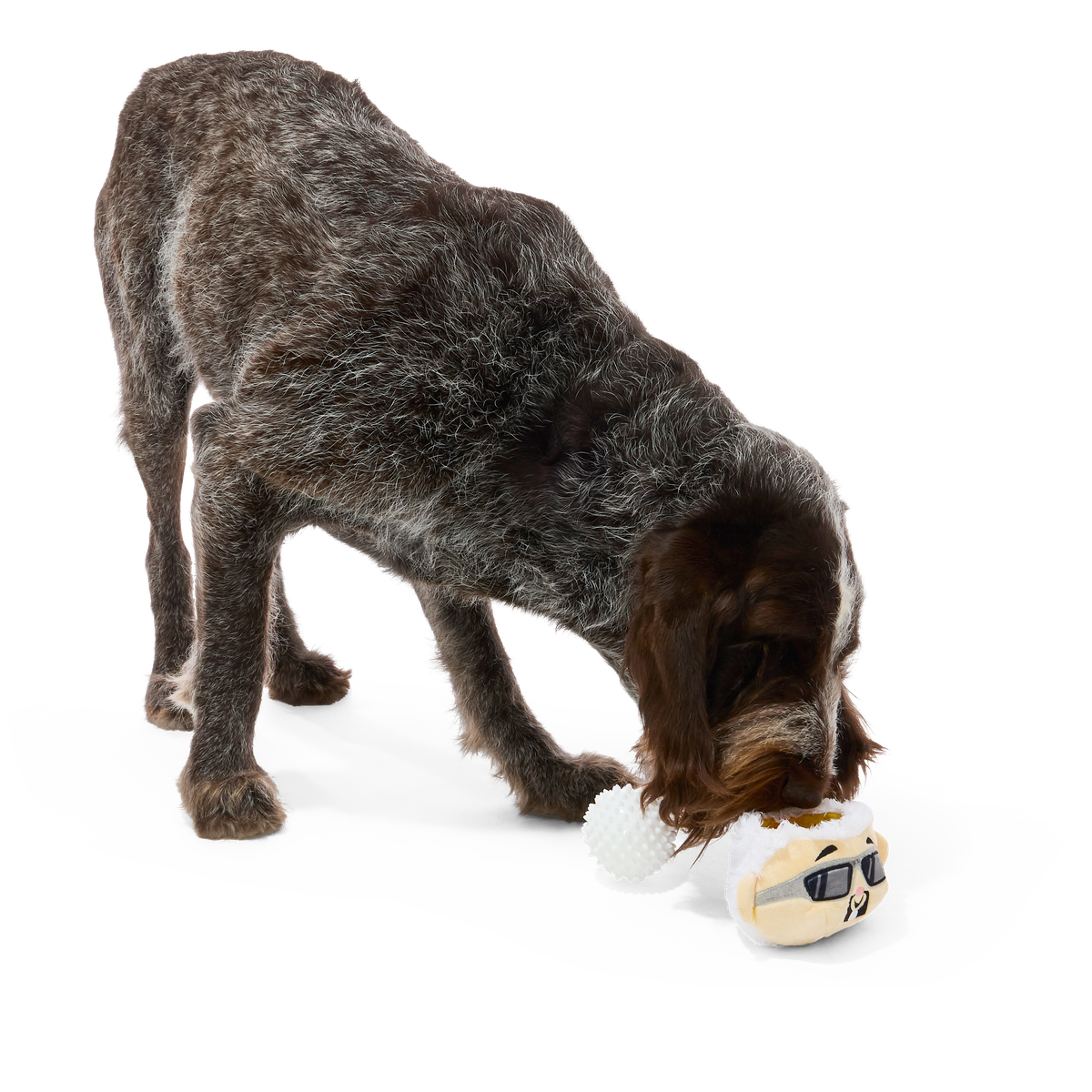 Mayor of Squeakertown Plush Multi-Part + Fetch Dog Toy