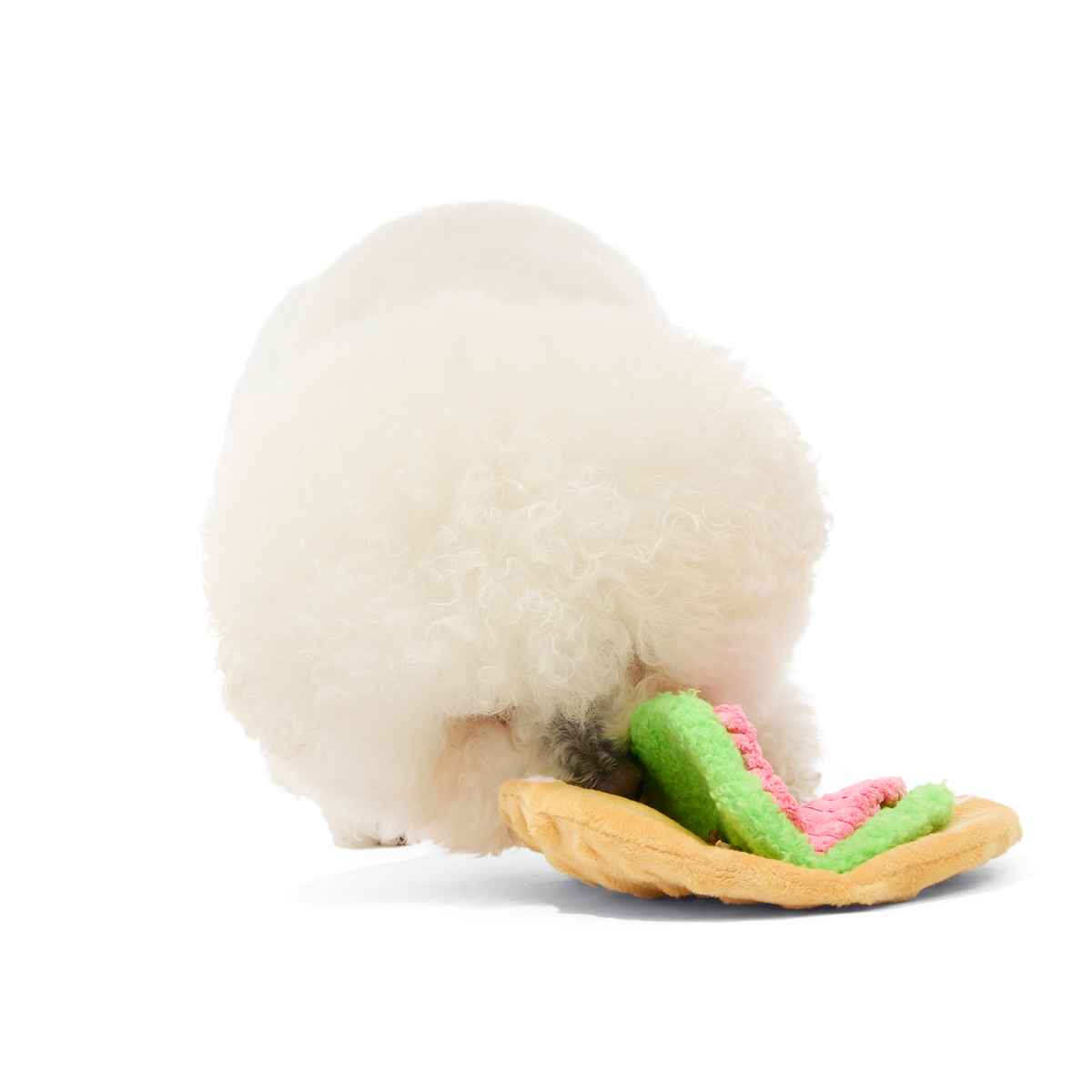 Tuna Won Taco Plush Enrichment Dog Toy