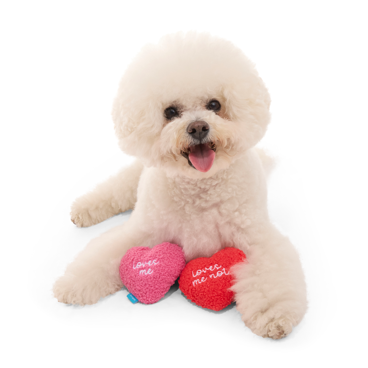 Love Me, Love Me Nots