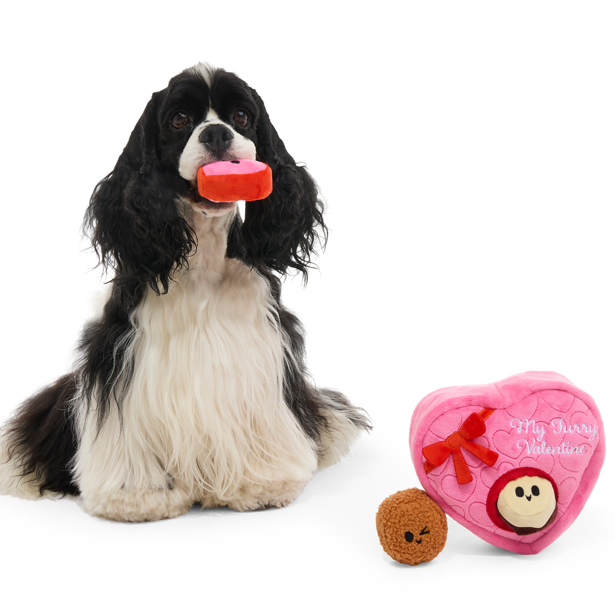 My Furry Valentine Chocolicks