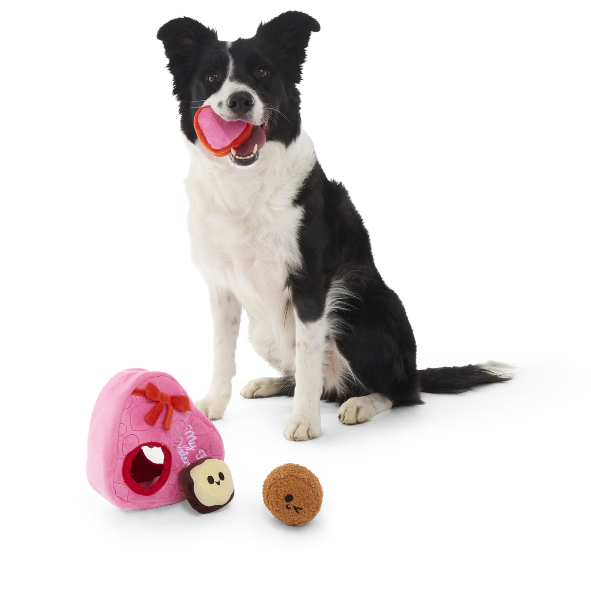 My Furry Valentine Chocolicks