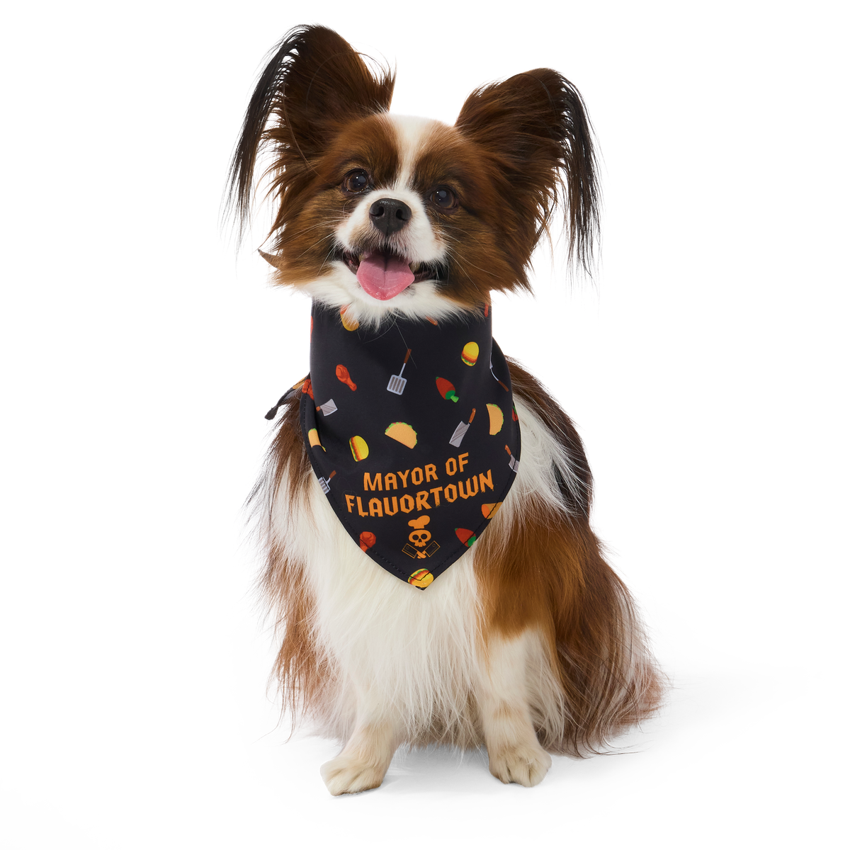 Flavortown™ Dog Bandana