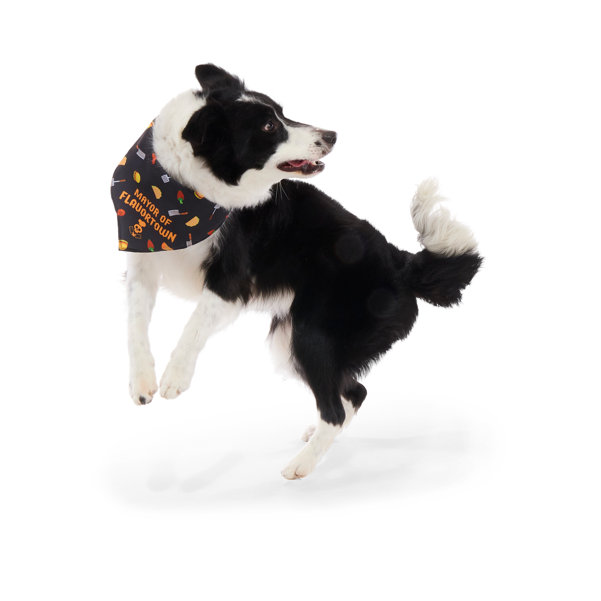 Flavortown™ Dog Bandana