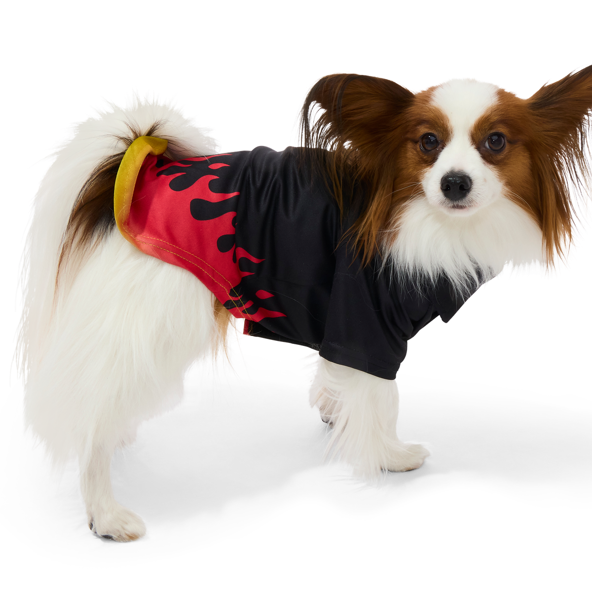 Flame Broiled Button-Down Dog Shirt#Size_XS