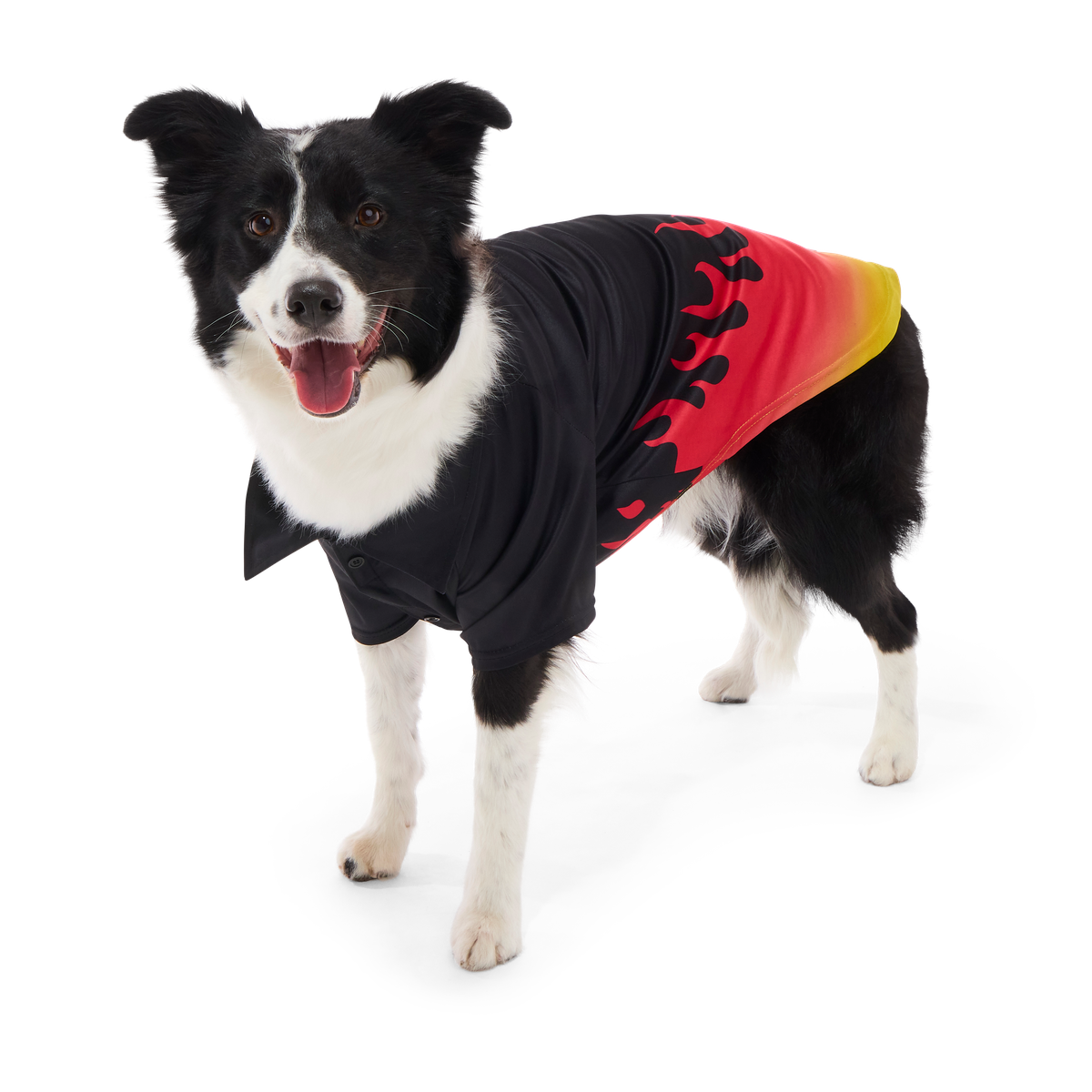 Flame Broiled Button-Down Dog Shirt#Size_L