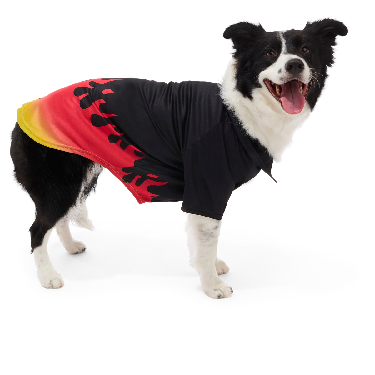 Flame Broiled Button-Down Dog Shirt#Size_L