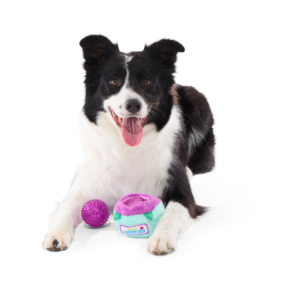 Blueberry Thrill Plush Multi-Part + Fetch + Enrichment Dog Toy