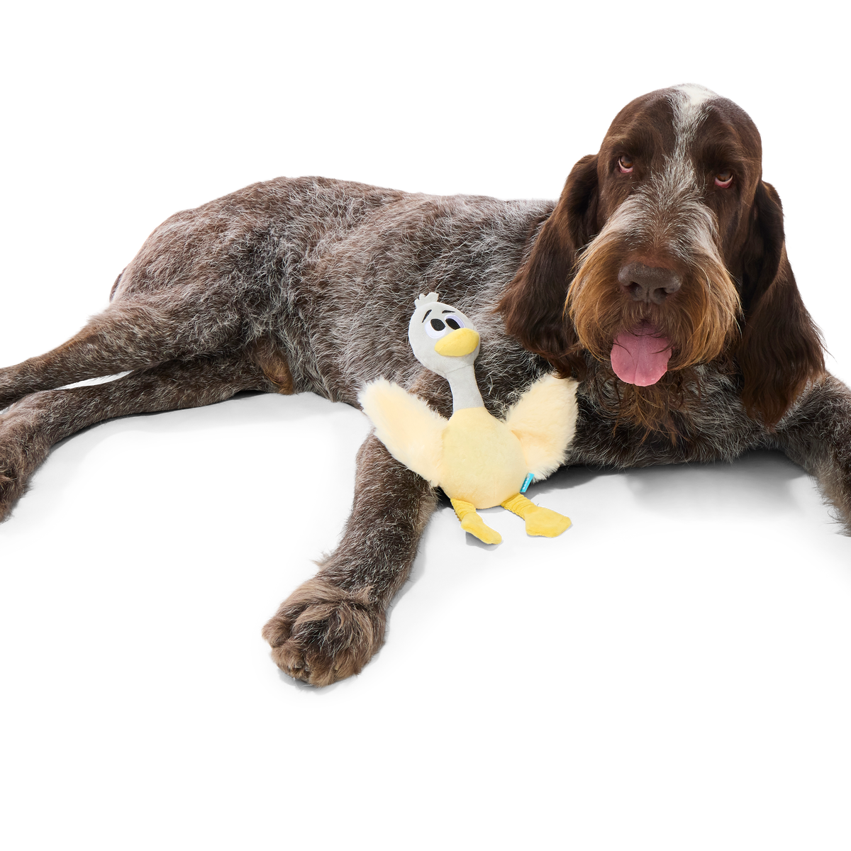 Lucy Goosey Plush Tug Dog Toy