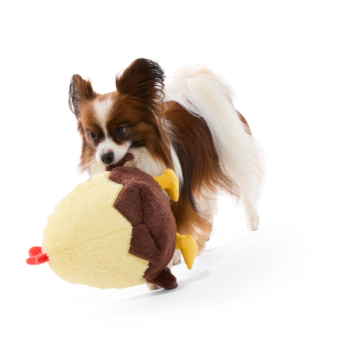 Chickie Biggie Plush Extra-Large Tug Dog Toy