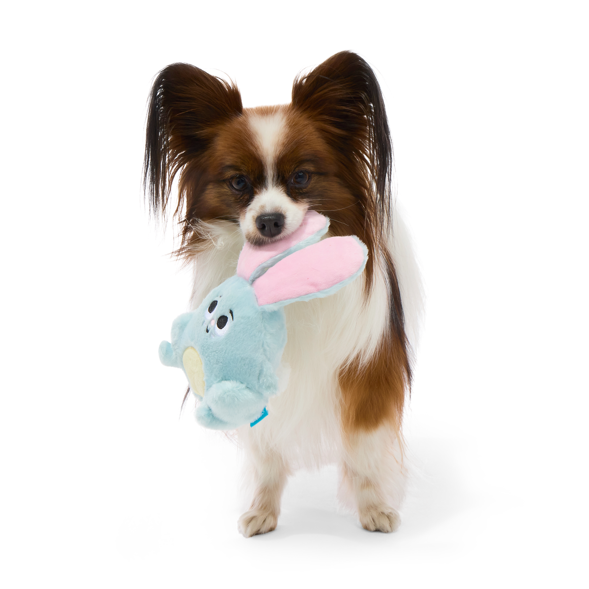 Eavesdropper Evie Plush Tug Dog Toy