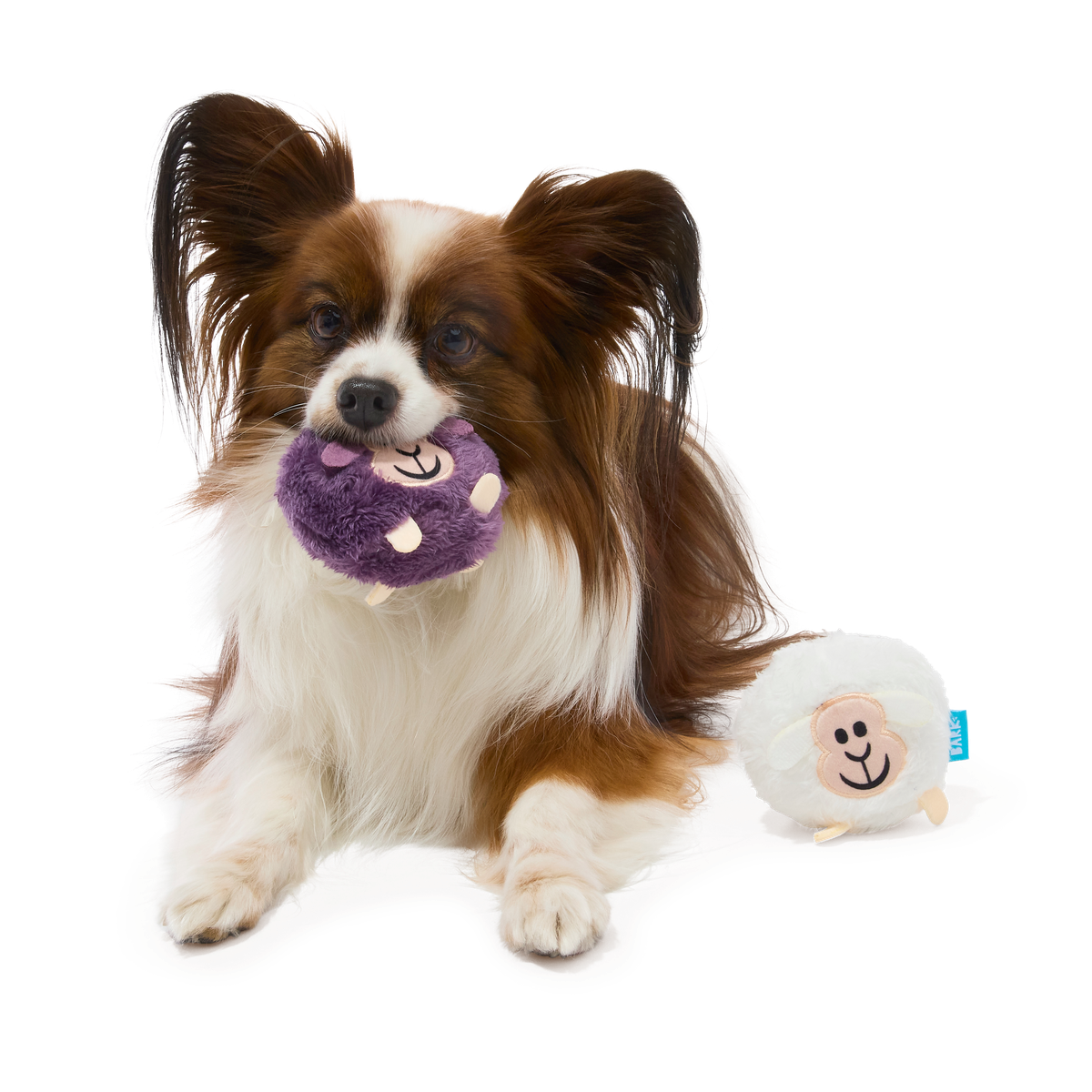 Good Sheep, Baa Sheep Plush Multi-Part Fetch Dog Toy