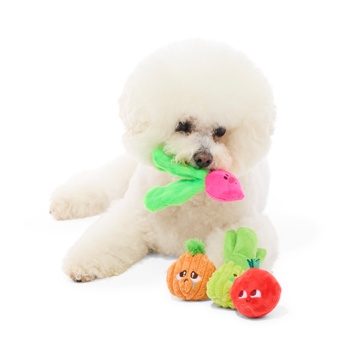Garden Party Plush Multi-Part Tug + Fetch Dog Toy