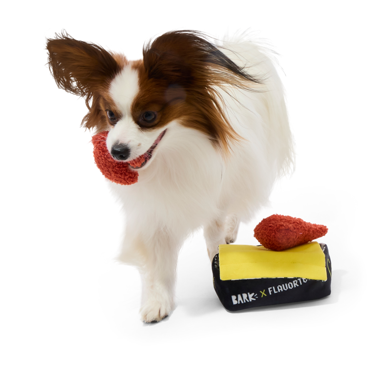 Flavgrrrtown Wings Plush Multi-Part + Enrichment Dog Toy
