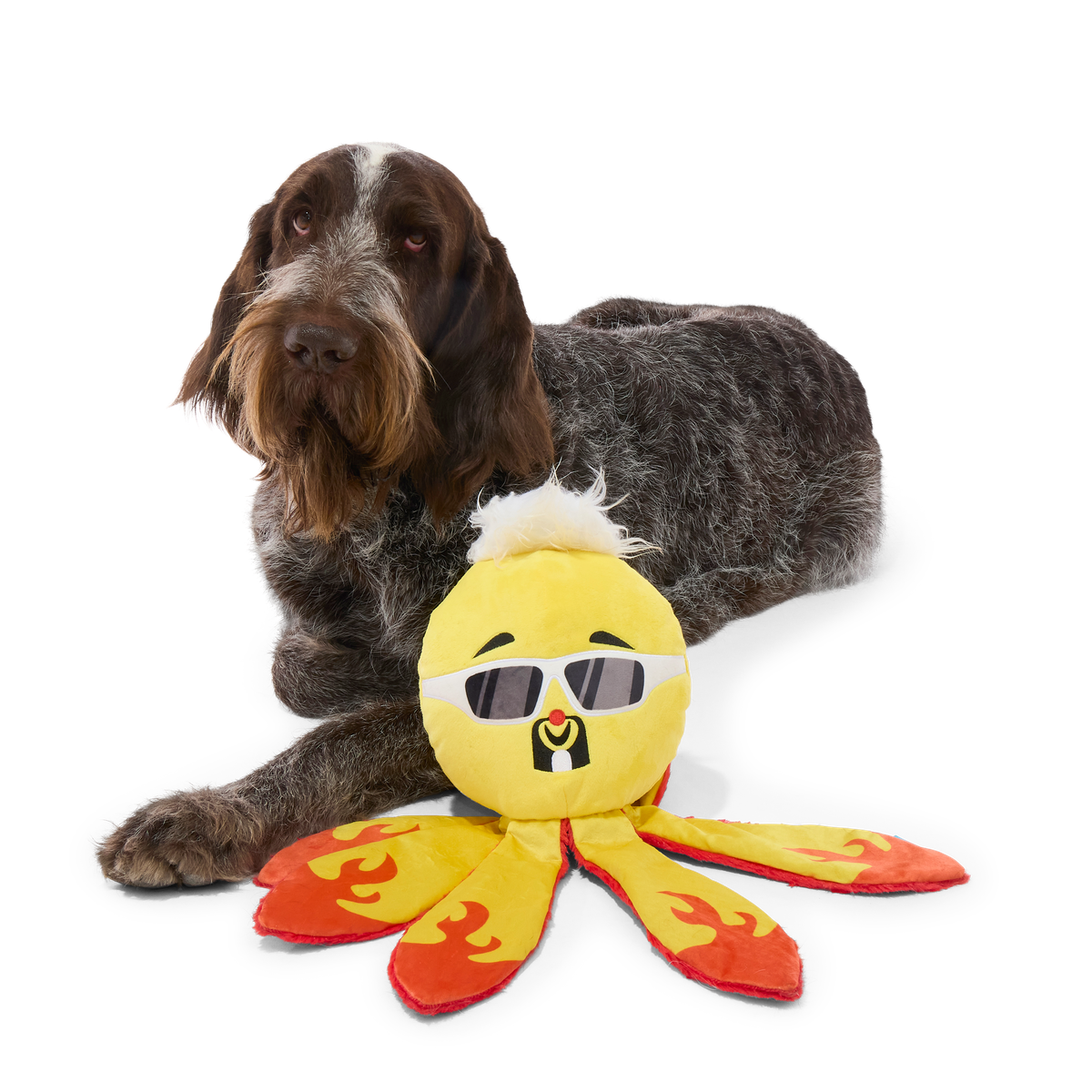 Off The Hook Ollie Plush Extra-Large + Tug Dog Toy