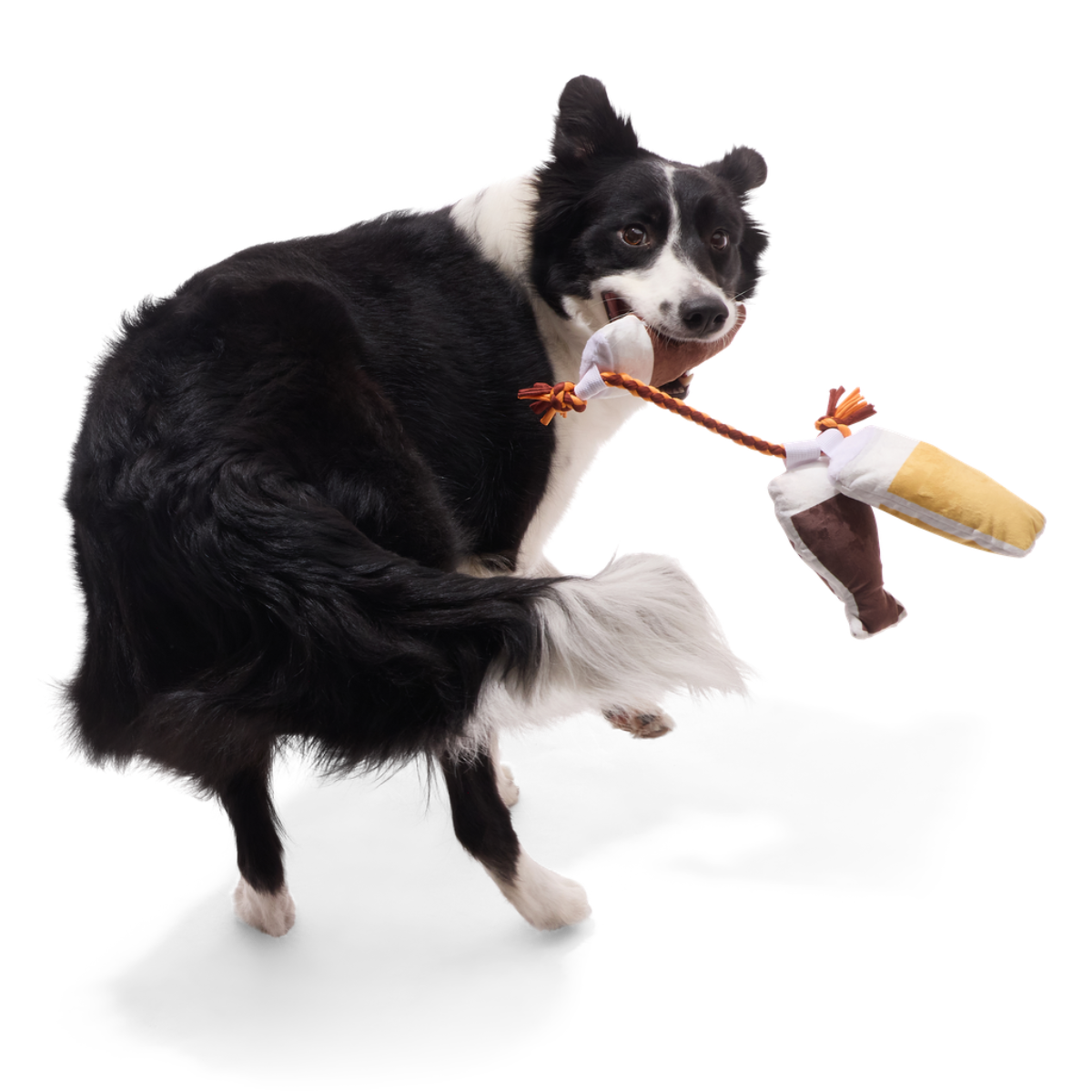 Tug-of-Beers Plush Tug Dog Toy