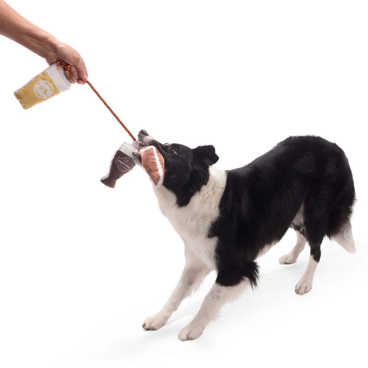 Tug-of-Beers Plush Tug Dog Toy