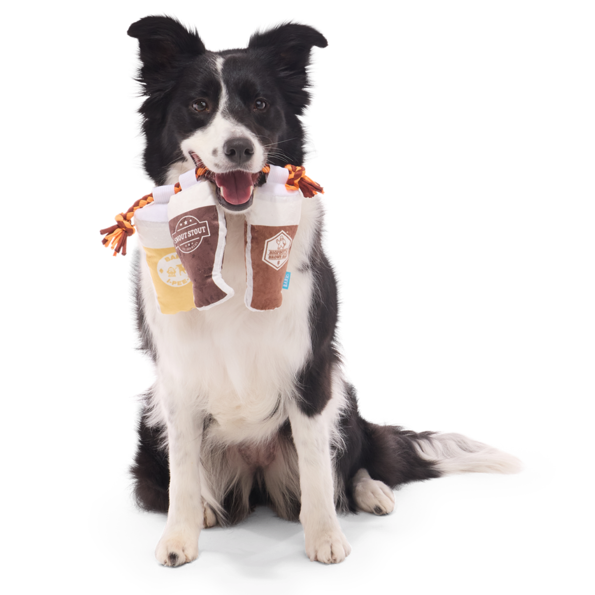 Tug-of-Beers Plush Tug Dog Toy