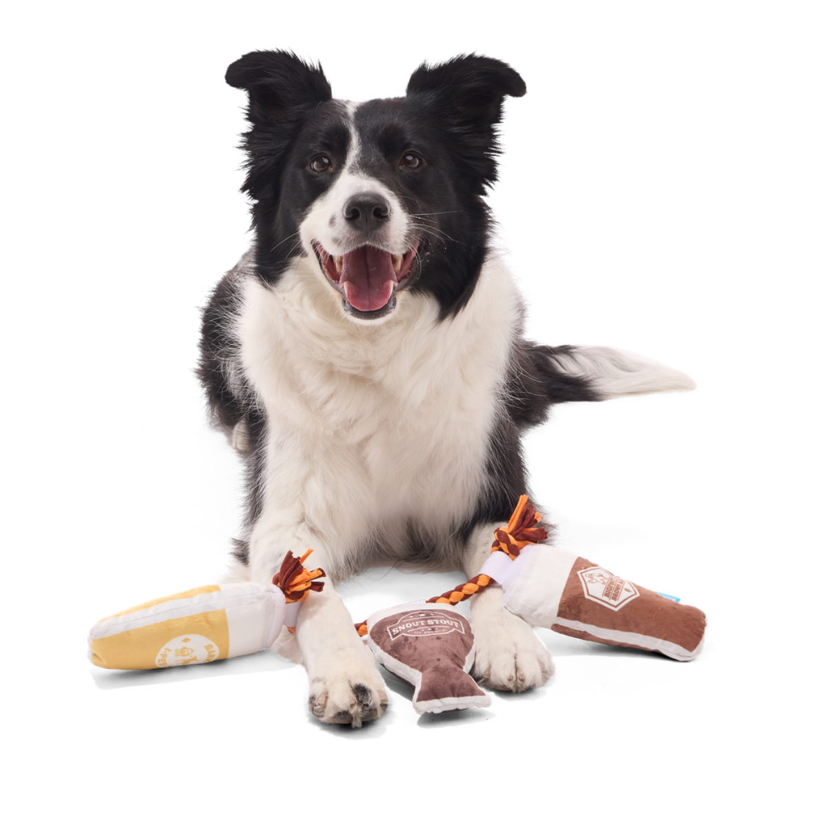 Tug-of-Beers Plush Tug Dog Toy
