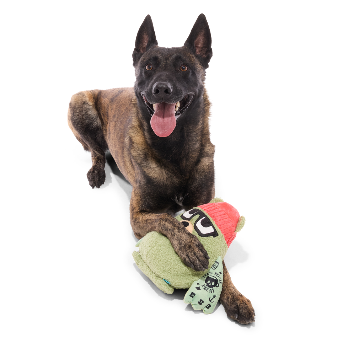 Bearista Plush Extra-Large Tug Dog Toy