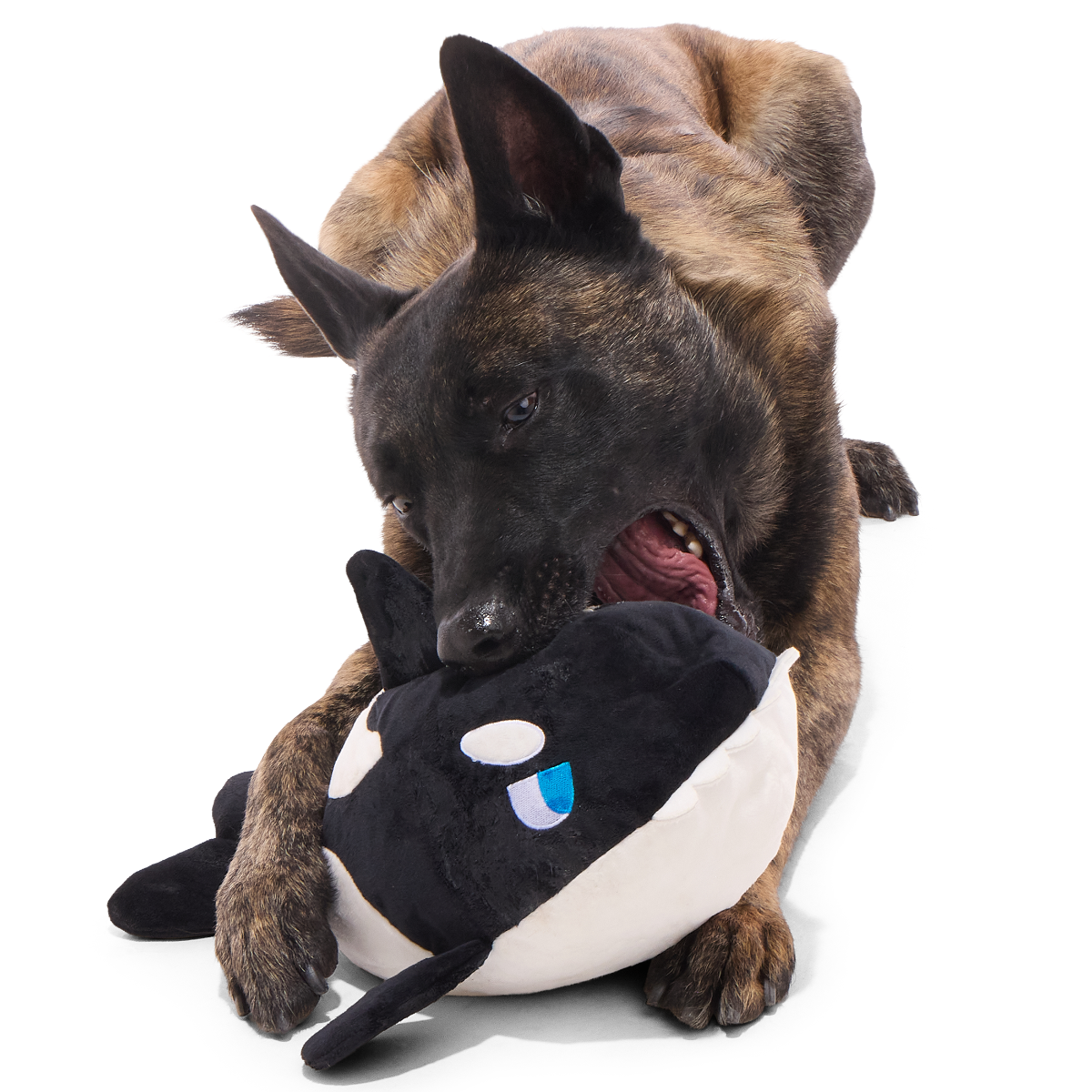 Whale Woofing Plush Extra-Large + Tug Dog Toy
