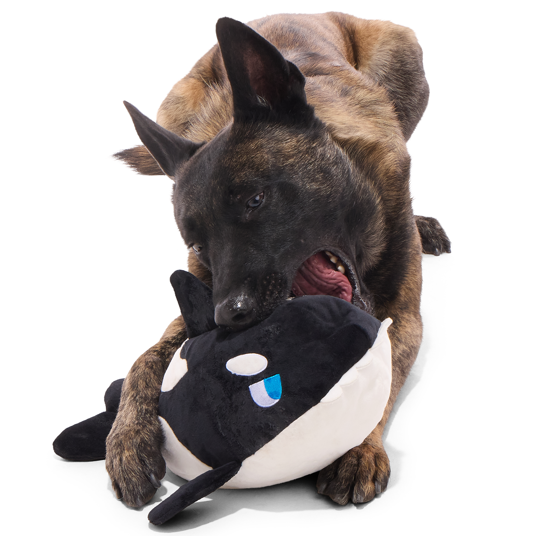 Whale Woofing Plush Extra-Large Tug Dog Toy