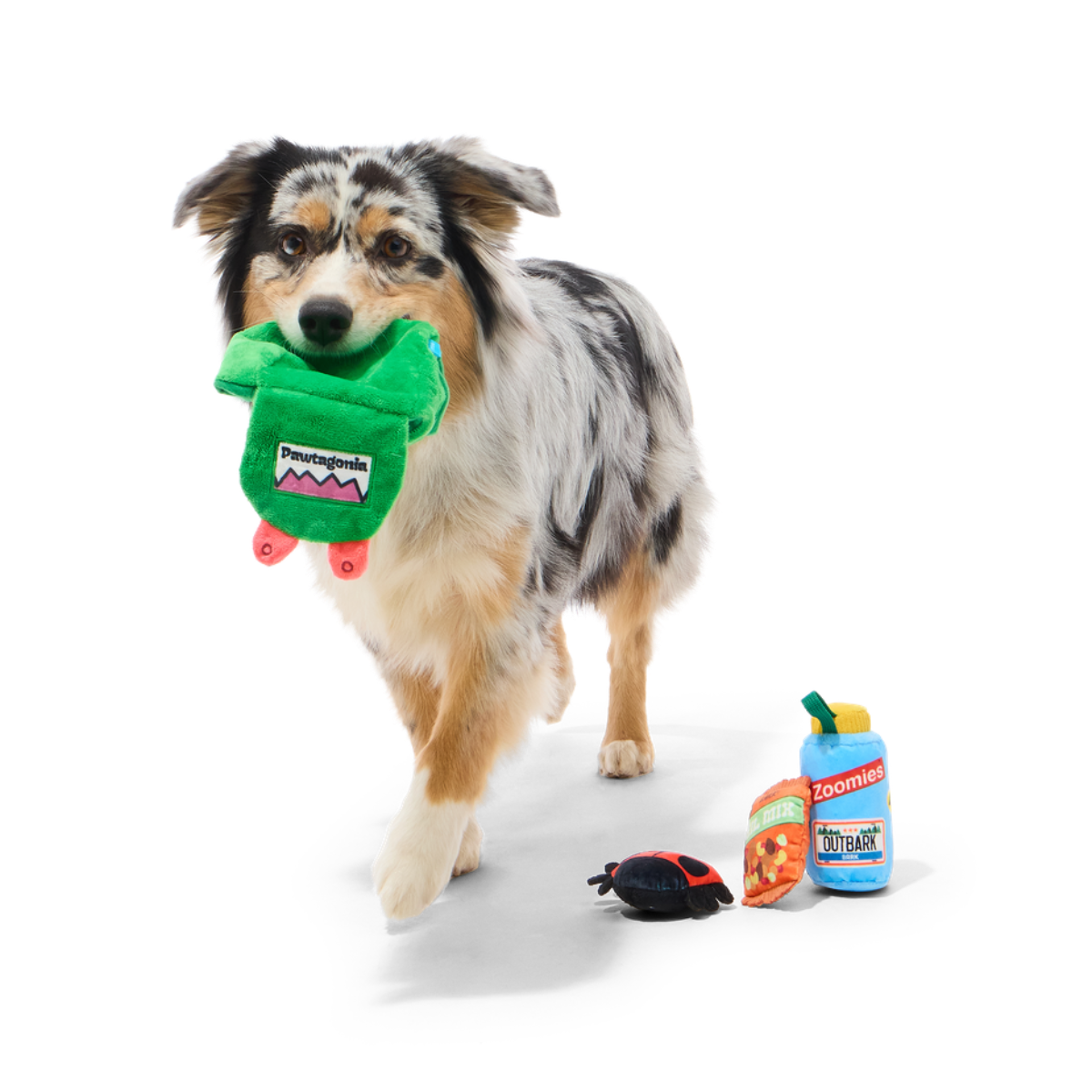 PNW Barkpack Plush Multi-Part + Enrichment Dog Toy