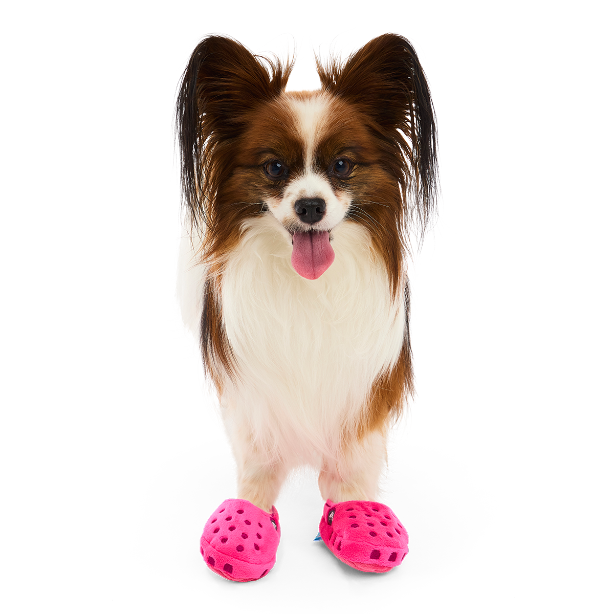Lapdog Clogs Plush Multi-Part + Enrichment Dog Toy