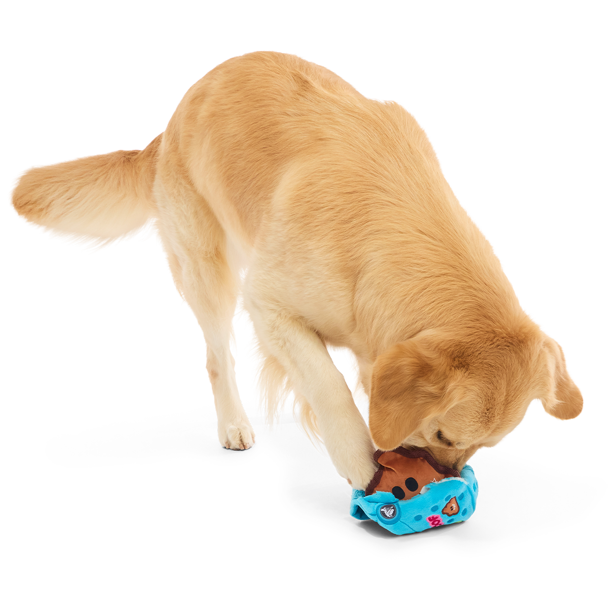 Step In It Plush 2-in-1 Dog Toy