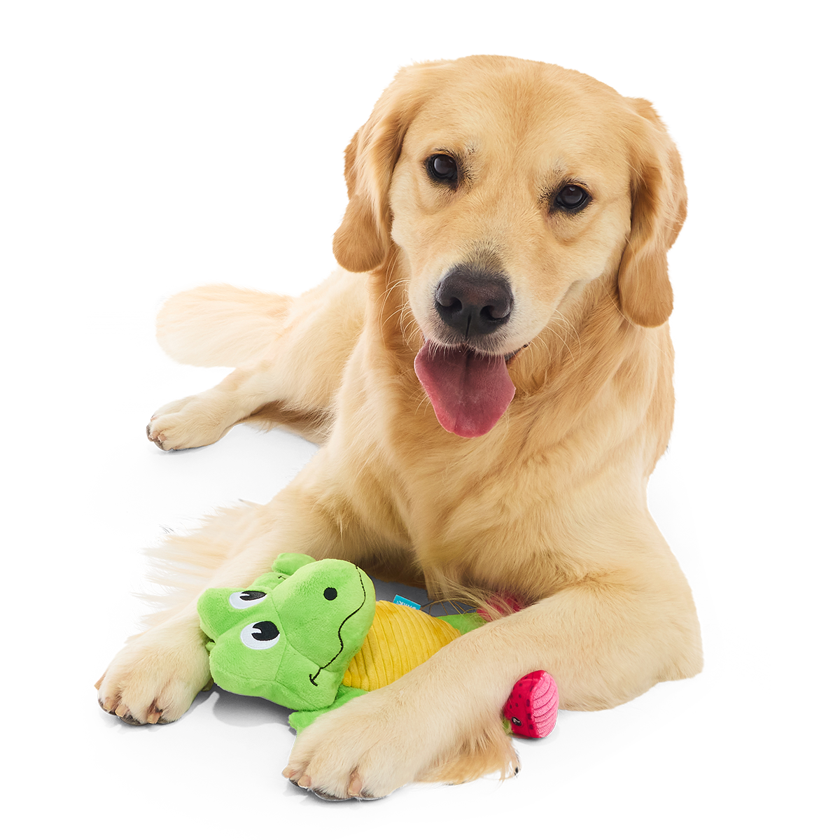 Crocodile Plush Tug Dog Toy