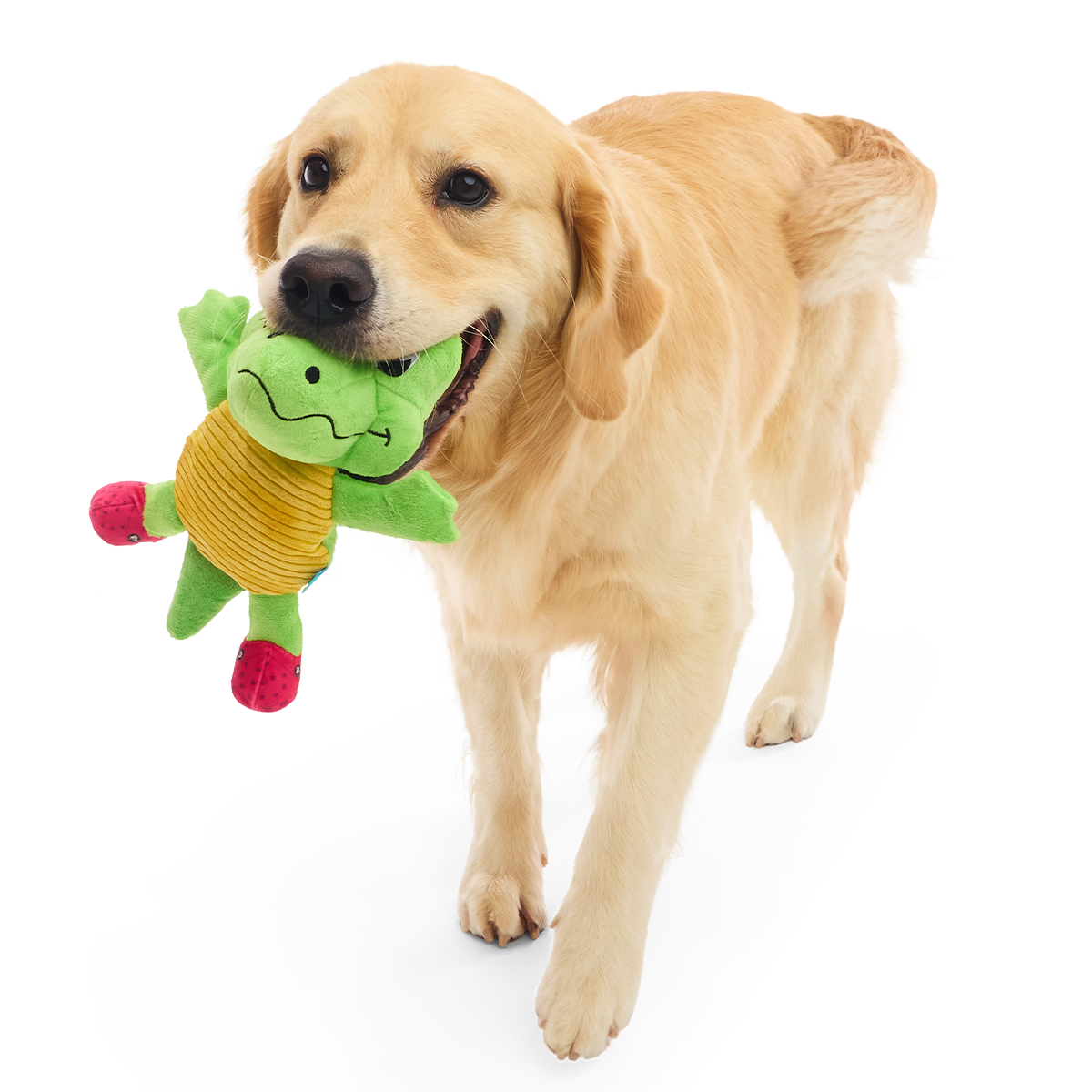 Crocodile Plush Tug Dog Toy