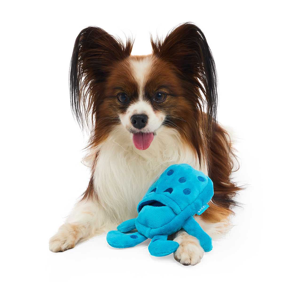 Croslite Guy Plush Tug + Enrichment Dog Toy