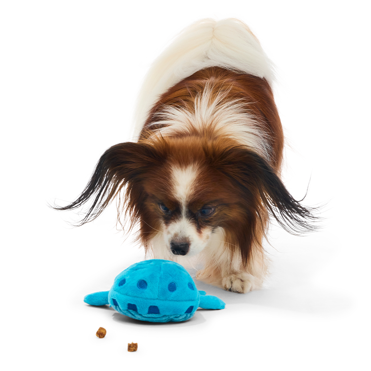 Croslite Guy Plush Tug + Enrichment Dog Toy