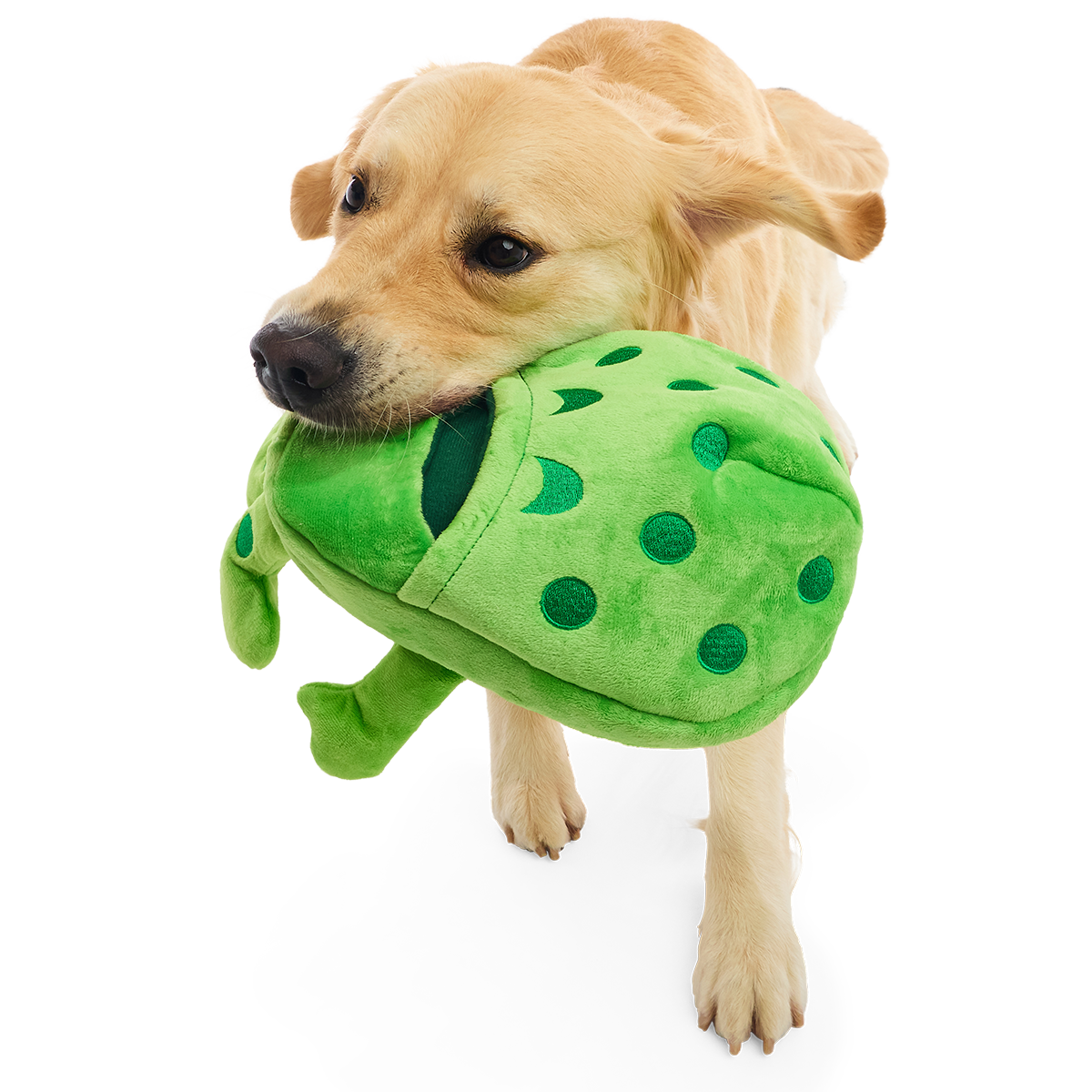 Croslite Guy Plush Extra-Large + Tug + Enrichment Dog Toy