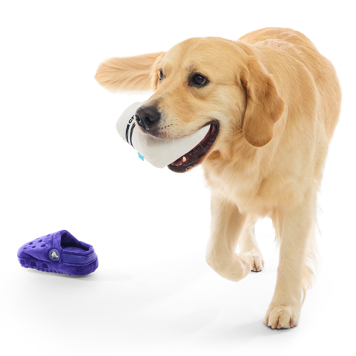 Rock Your Socks Plush Multi-Part + Enrichment Dog Toy
